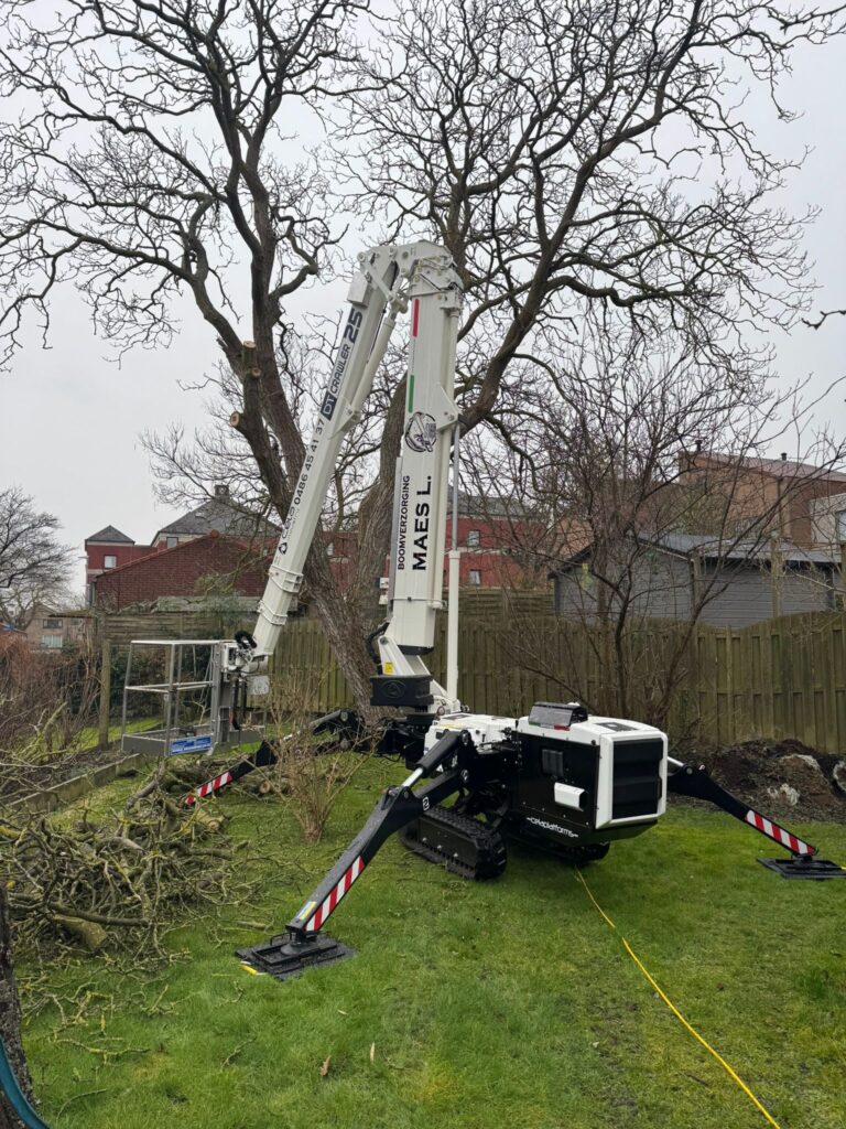 Werkzaamheden Op Hoogte 2 WhatsApp Image 2025 09 25 at 18.41.43 1