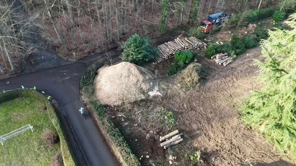 d91752f1 29ba 4b2b a38e 2e2795537377