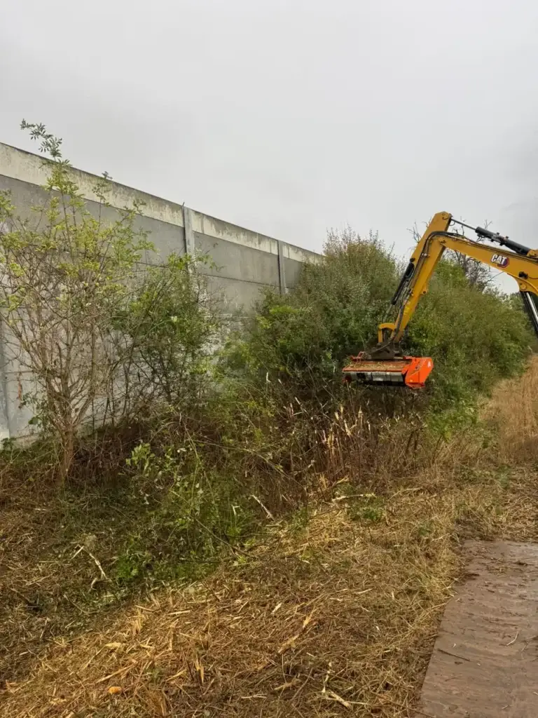 Klepelmaaier aan de kraan maait struiken en opschot kort